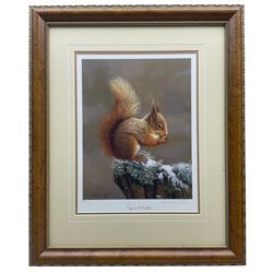 Robert E Fuller (British 1972-): 'Squirrel Nutkin', limited edition colour print signed and numbered in pencil 34cm x 25cm