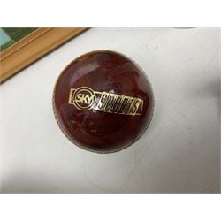 Sondico cricket bat with Yorkshire C.C.C. signatures; framed Lord Taverners v Barclaycard XI programme signed by Colin Milburn, Colin Cowdrey, Roy Kinnear, Nicholas Parsons etc; souvenir Ashes 1994/95 cricket ball; books of cricket interest; tie-pin etc