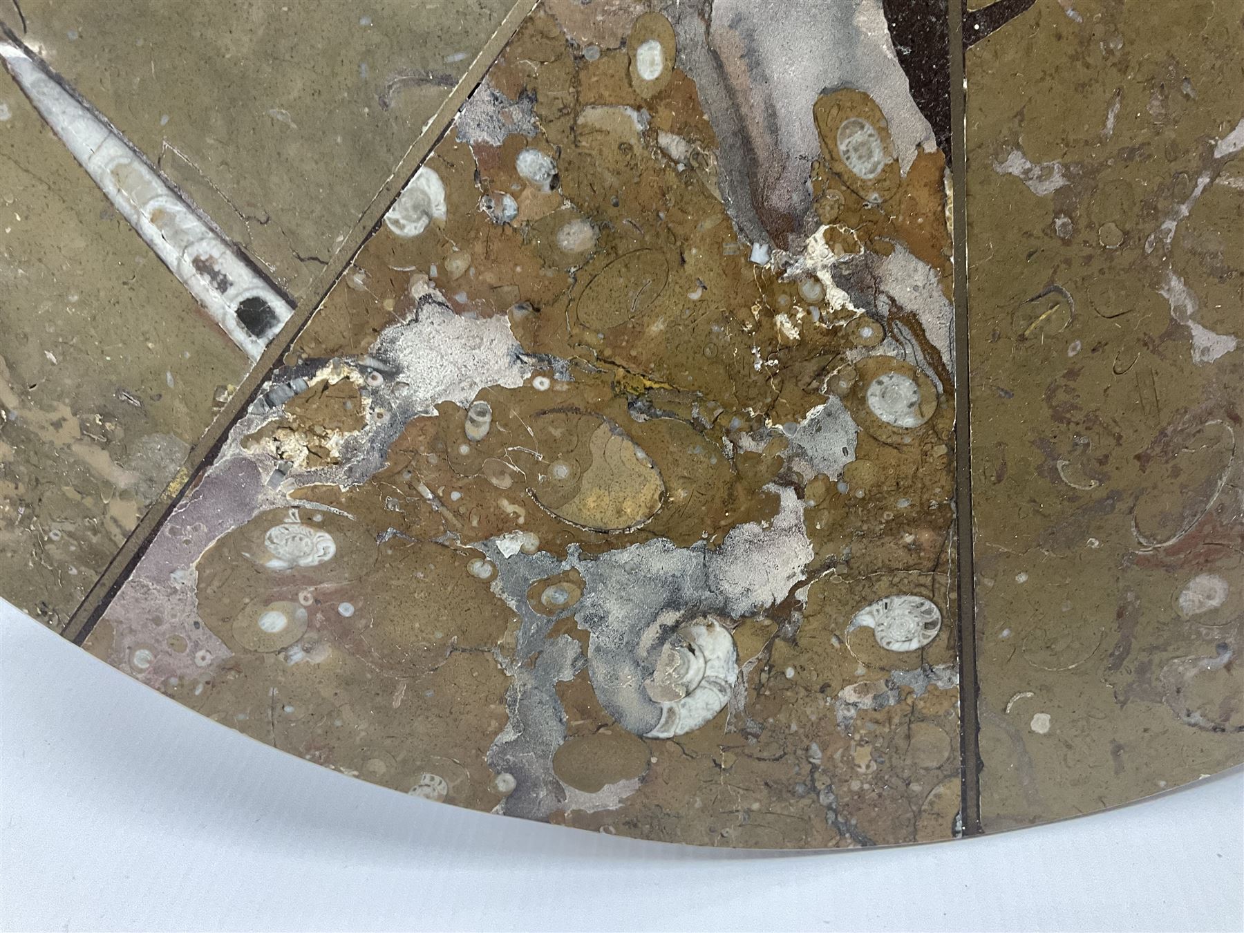 Circular limestone table top, with orthoceras and goniatite inclusions; age: Upper Devonian, location: Morocco, D45cm