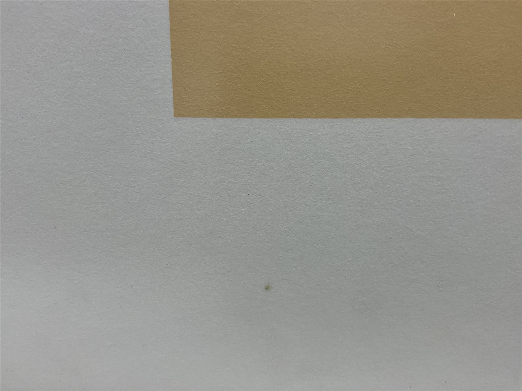 Patrick Caulfield (British 1936-2005): 'Thus, she would come, escaped, half-dead to my door’, no.11 from 'Some Poems of Jules Laforgue' Edition C, screenprint signed and numbered 57/100 in pencil pub. 1973, 41cm x 36cm with full margins