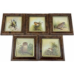 Five framed porcelain plaques, hand painted with birds, signed N Creed - ex Royal Worcester artist, overall 14.5cm x 14.5cm