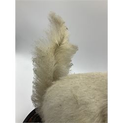 Taxidermy: Victorian cased Red Squirrel (Sciurus vulgaris), full mount holding a hazelnut, upon naturalistic ground, enclosed beneath a period oval glass dome with ebonised base, raised upon four bun feet H44cm D15cm W24cm