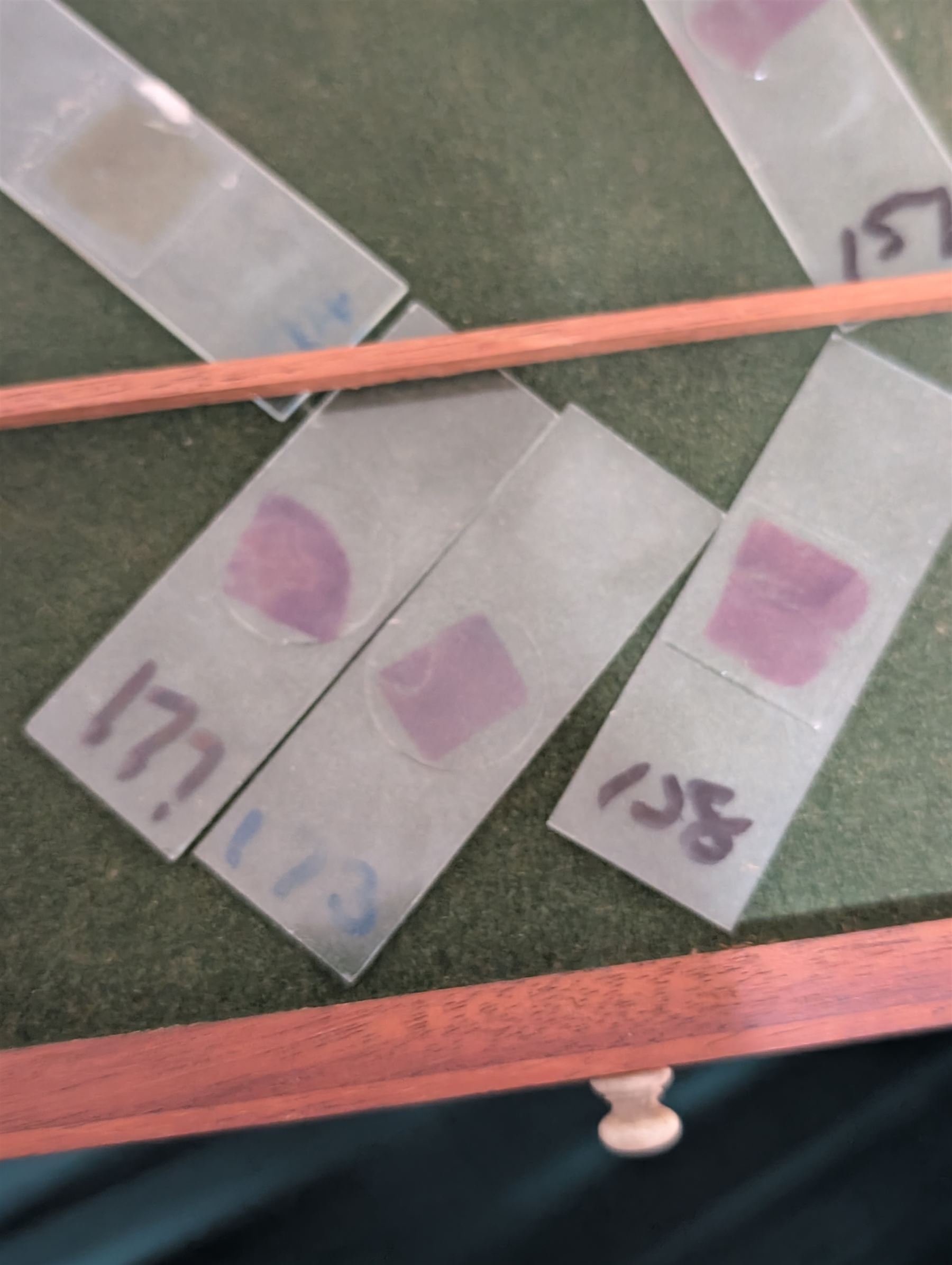 Victorian collector's specimen cabinet, containing a number of prepared microscope slides including miniature photographs, animal and human pathological, physiological and histological specimens and botanical specimens, mostly annotated in ink, the cabinet with glazed door, the drawers with bone handles and lined with green felt, owned by Dr Arthur Bristow, together with a picture of the doctor, cabinet H43cm