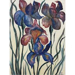 EW (British Contemporary): 'Iris', watercolour signed with initials titled and dated 2000, 31cm x 23cm