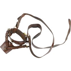 Officer's Sam Browne brown leather belt, with ammunition patch and pistol holder, together with another belt with sword frog