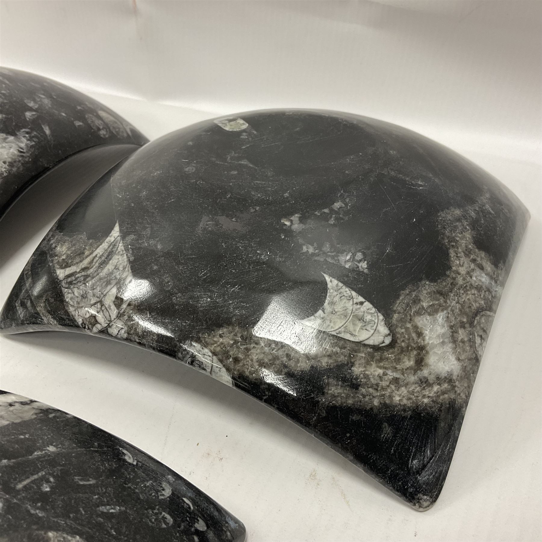 Set of four square dishes in two sizes, each with orthoceras and goniatite inclusions, age: Devonian period, location: Morocco, large dish D16cm