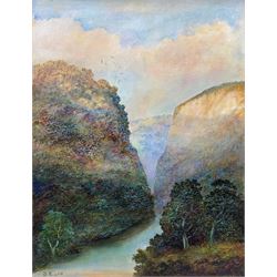 Bruce Kendall (British Contemporary): 'The Derwent - Matlock', oil on board signed, titled verso 54cm x 42cm