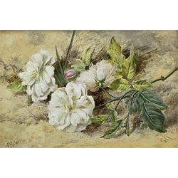 Helen Cordelia Coleman (Angell) (British 1847-1884): 'Roses', watercolour and bodycolour signed, original title on artist's address label verso 12.5cm x 18cm
Provenance: with Christopher Wood Gallery, Bury Street, London, label verso