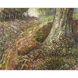 Graham Kingsley Brown (British 1932-2011): Woodland Floor, oil on board signed and dated 1990 verso 28cm x 35cm (unframed)
Provenance: consigned by the artist's daughter - never previously been on the market.