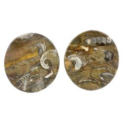 Pair of oval dishes, with a raised Goniatite to the side, Orthoceras and Goniatites inclusion, D12cm 