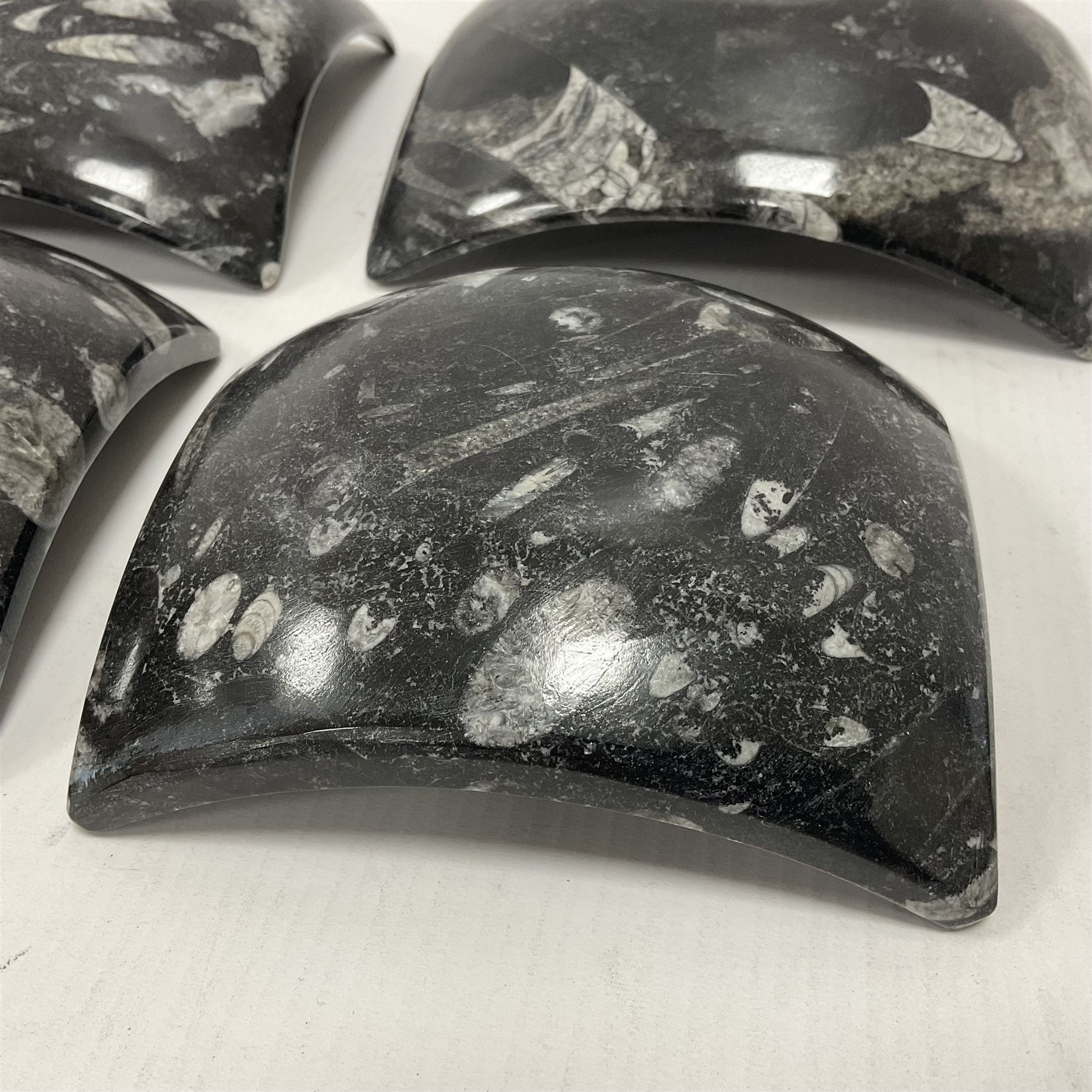 Set of four square dishes in two sizes, each with orthoceras and goniatite inclusions, age: Devonian period, location: Morocco, large dish D16cm