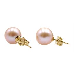 Pair of 9ct gold pink pearl stud earrings, stamped 375