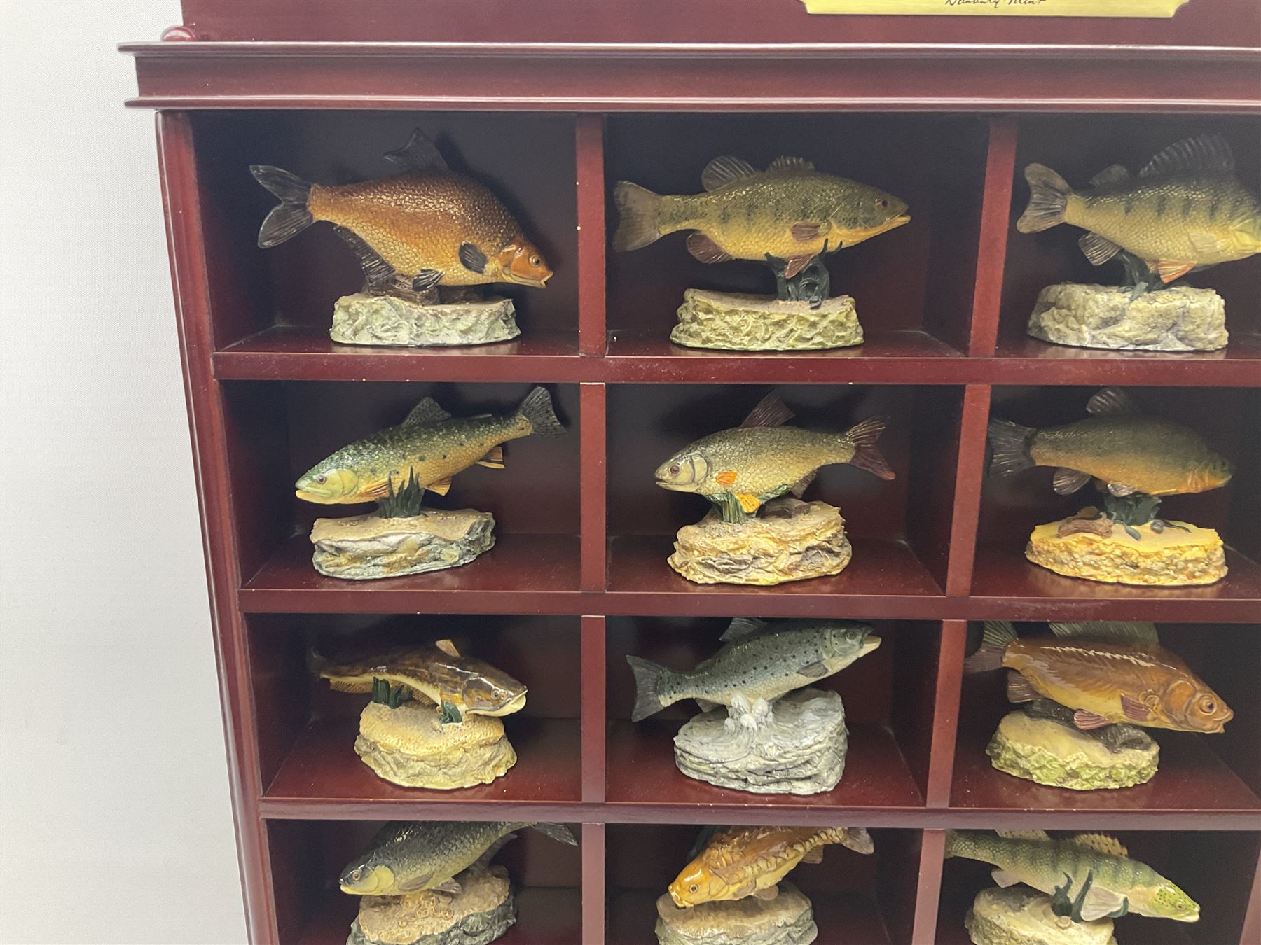 Twenty Four Danbury Mint models of fish, The Angler's Showcase, each with accompanying information card, in wooden wall mounted display shelf, with title plaque, display shelf H61cm L54cm