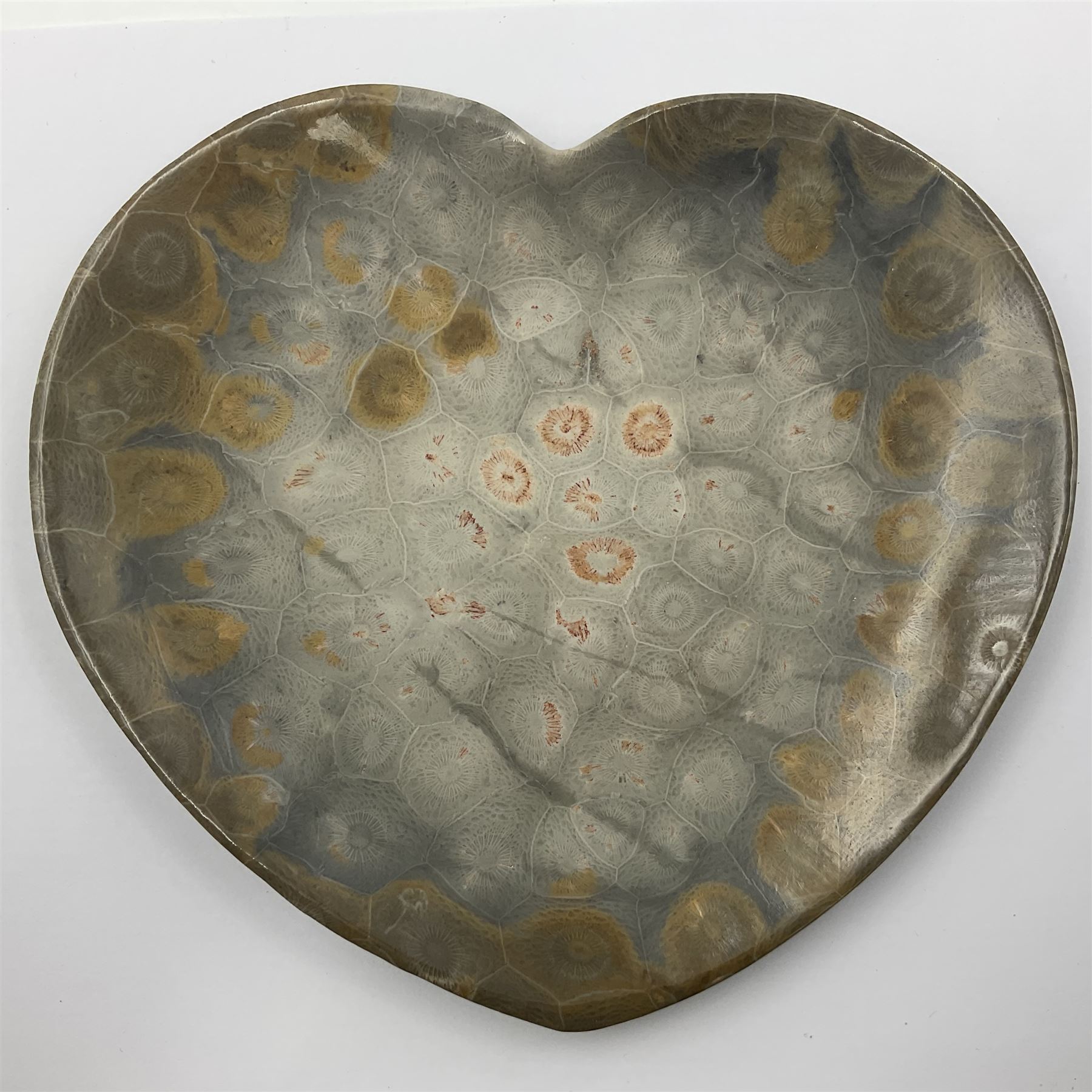 Two graduating fossilised coral dish in the form of hearts, largest D16cm
