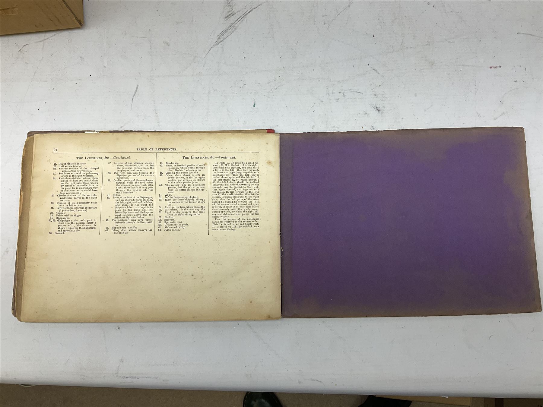 A. Schwarz, The Horse; Its External and Internal Organisation, An Illustrated Representation and Brief Description, Revised and Edited by George Fleming, London, George Philip & Son, with fold out anatomical plates