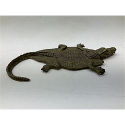 After Franz Xavier Bergman, two cold painted bronzes modelled as a crocodile skin, and a zebra skin, each stamped beneath with B within an amphora and Austria, crocodile L12.5cm, zebra 10.5cm