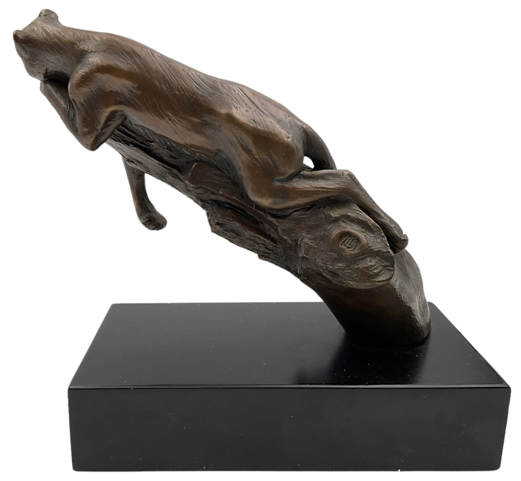Bronze modelled as a cougar on a branch upon a rectangular wooden plinth, H24cm