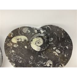 Pair of dishes in the form of hearts with a raised Goniatite to the centre and Orthoceras and Goniatite inclusions, age: Devonian period, location: Morocco, D16cm