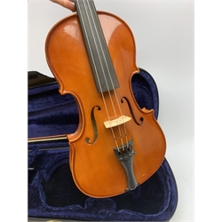 Stentor 'Student II' violin with 35.5cm two-piece back and spruce top, bears label, 59cm overall, in original fitted case with bow
