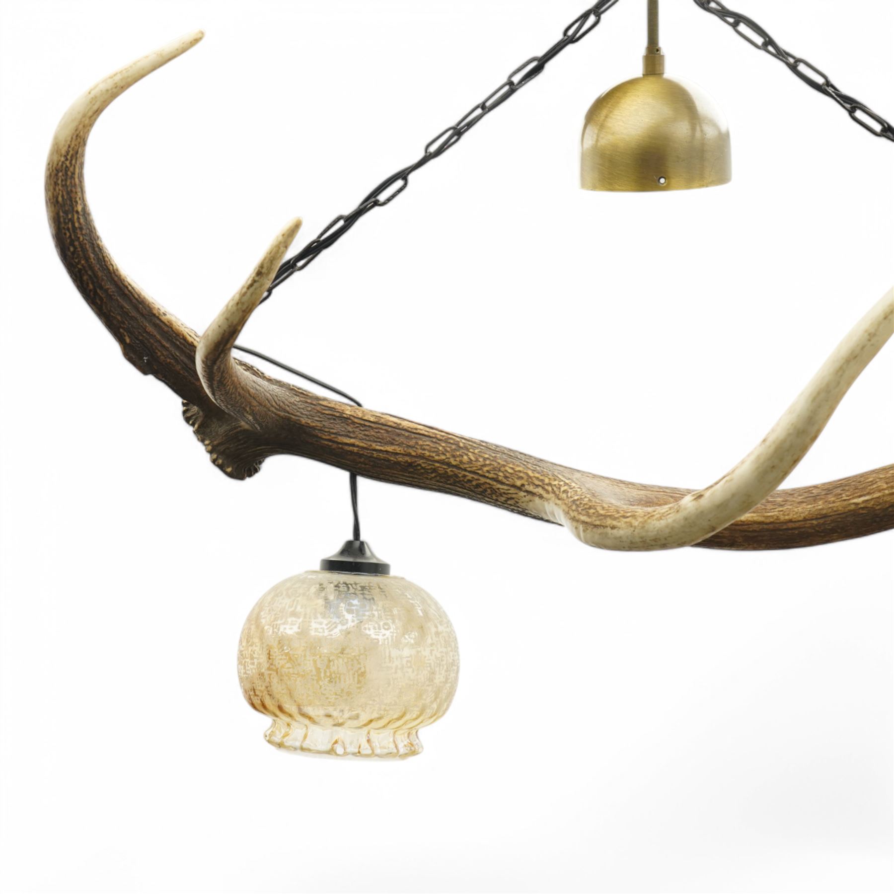 Red stag chandelier, the single antler with two hanging lamps with glass shades, L103cm 