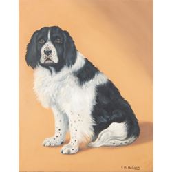 Frances Mabel Hollams (1877-1963): Portrait of a Spaniel, oil on canvas signed 50cm x 39cm 
Provenance: sold Bonhams Knightsbridge 10th October 2006 Lot 335