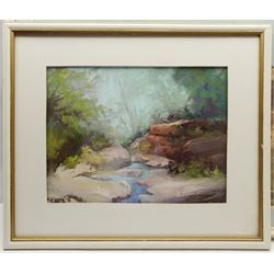 Jill Grinstead (British Northern Contemporary): 'Vanishing Coastline' Holderness, pastel signed, titled verso 48cm x 66cm; Doreen Dawson (20th century): River Landscape, pastel signed 34cm x 45cm (2)