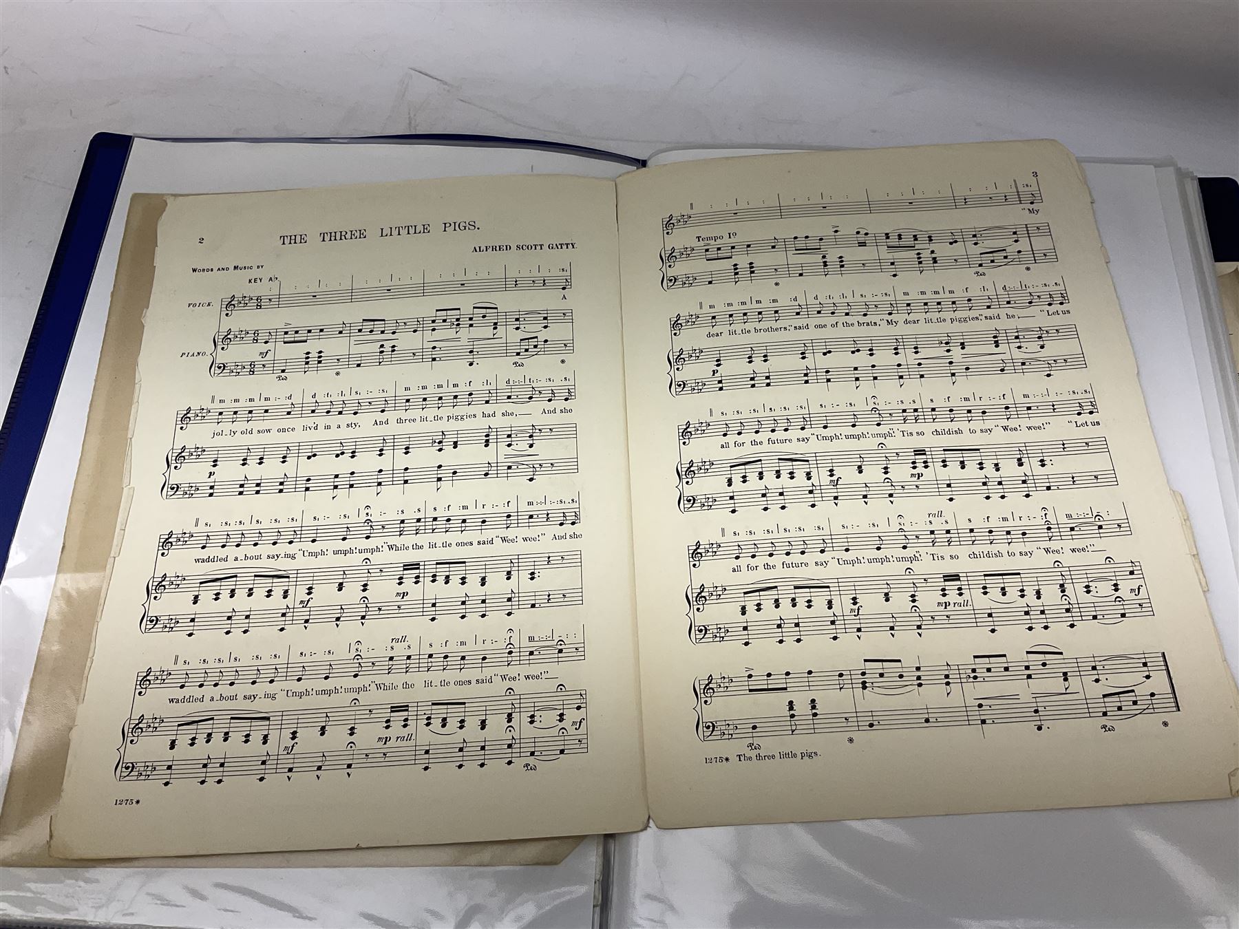 Two albums of Victorian and later sheet music, many with attractive illustrated coloured covers, to include some war and air force related examples to include The Frost Polka, Milk to my Tea, Tour Songs of the Air Service, Silver Wings in the Moonlight, etc, some facsimile