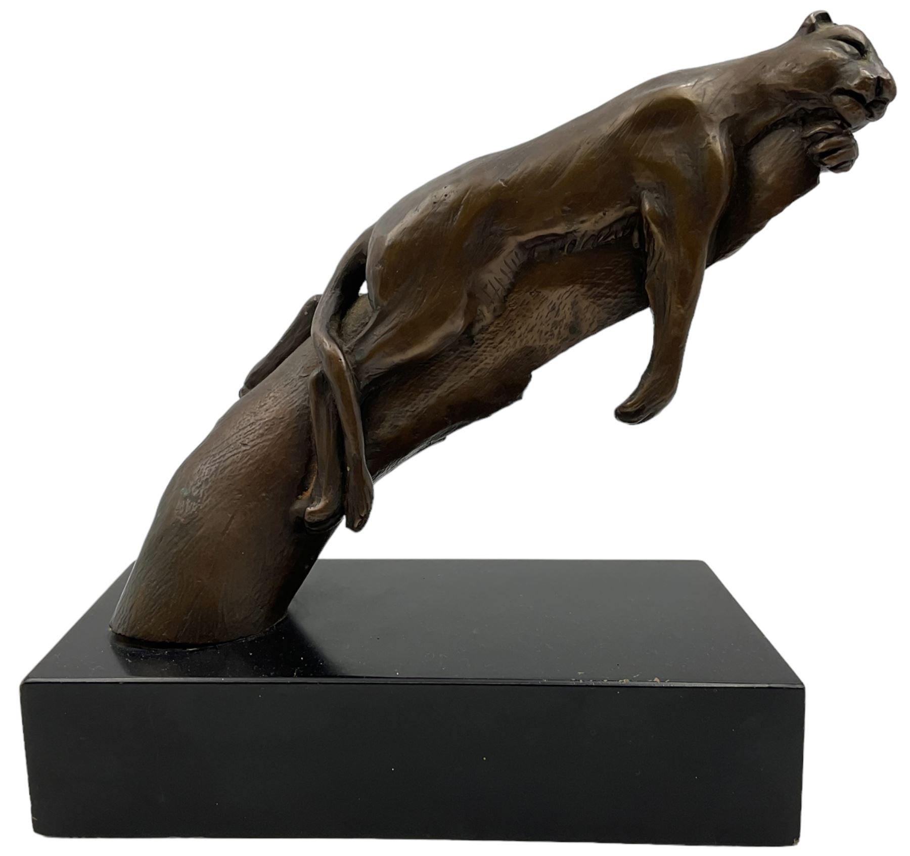 Bronze modelled as a cougar on a branch upon a rectangular wooden plinth, H24cm