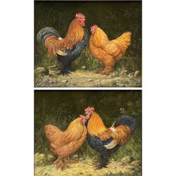 A Alexander (20th century): Hen and Cockerill, pair oils on board signed and dated 1990, 21cm x 26cm (2)