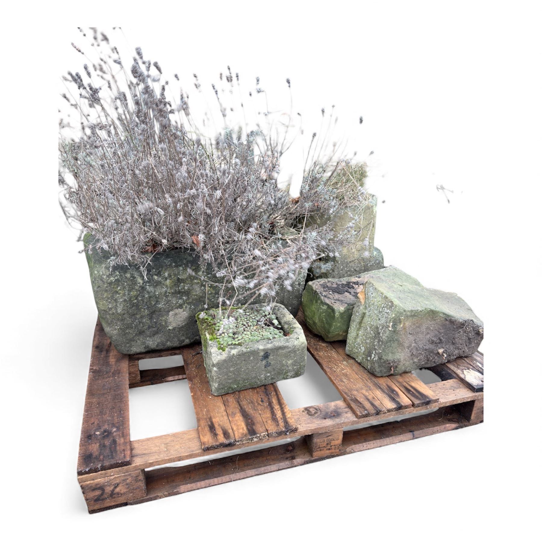 Two 19th century stone troughs with small stone planter