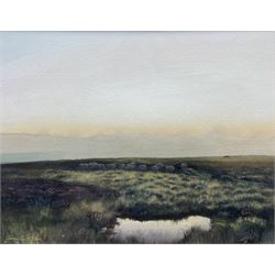 James D McGairy (British Contemporary): Sheep grazing on the North Yorkshire Moors, watercolour signed 17cm x 23cm 