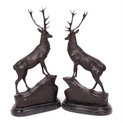 After Jules Moigniez (French 1835-1894): Pair of bronze stag figures on marble bases, each modelled alert standing on moulded rocky plinth on shaped marble bases, H74cm