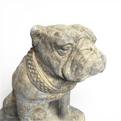 Cast stone garden statue on the form of a seated British bulldog with studded collar on a shaped rectangular base