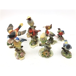  Nine Royal Adderley bird models comprising Canary, Cardinal, Blue Tit, Red Crested Cardinal and others (9)   