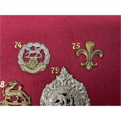 Twenty-two glengarry and cap badges including Argyll & Sutherland, Devonshire, Essex, Hampshire, Royal Berkshire, Northamptonshire, Long Range Desert Group, Royal Corps of Signals, Norfolk, Dorsetshire, East Lancashire etc; mounted on a board for display