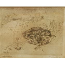 Sjoerd Kuperus (Dutch 1893-1988): Bird Studies, pair etchings signed and titled in pencil 10cm x 12cm and 11cm x 13cm (2)