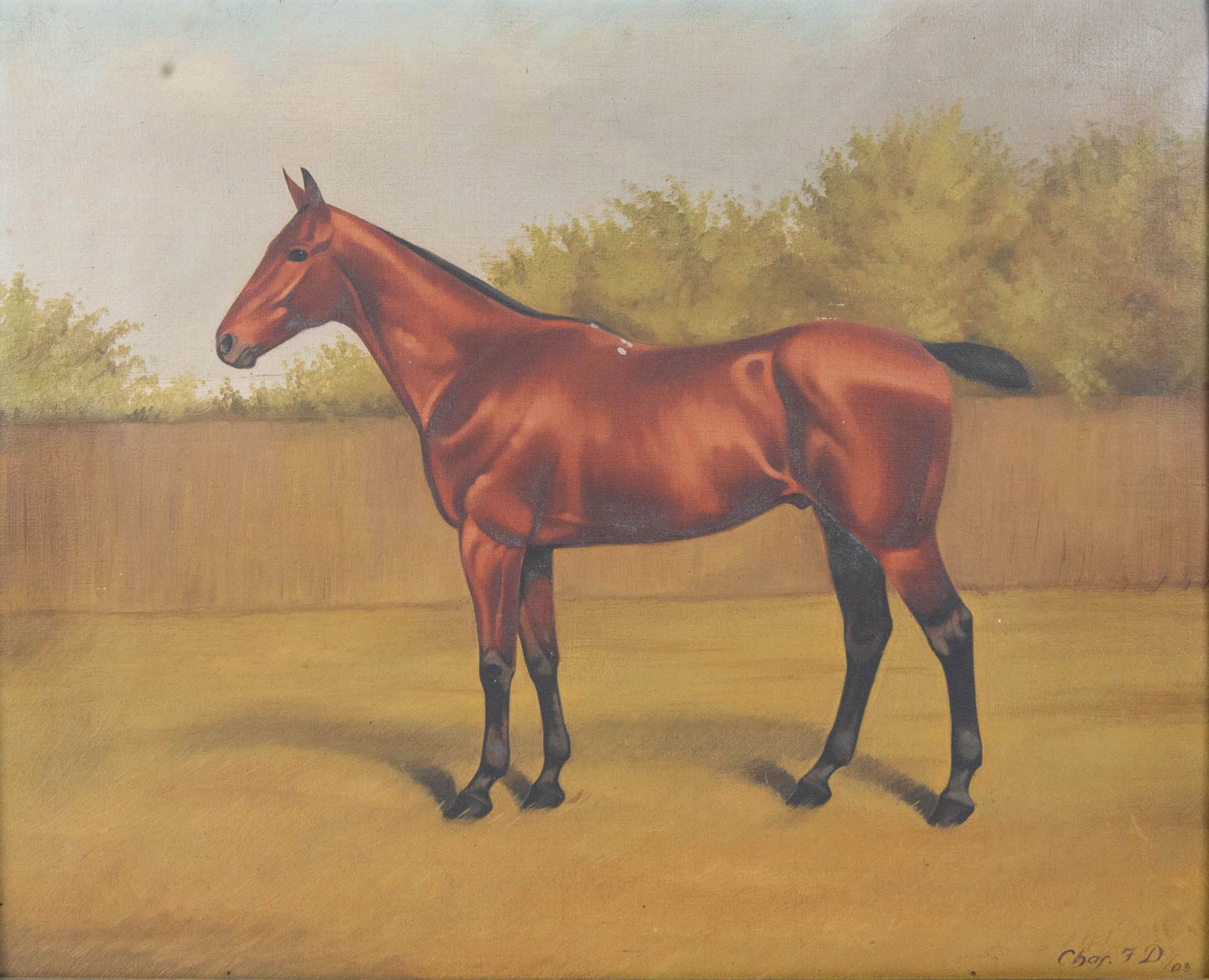 Charles F Davis (British 19th/20th Century): Horse Portraits, pair oils on canvas signed and dated '09 and '05, max 45cm x 55cm (2)