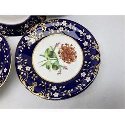 19th century Botanical dessert service, probably Samuel Alcock, painted with specimen sprays within pierced cobalt blue borders and gilt dentil, comprising two low comports and twelve plates, printed retailers marks in puce for Richard Hawkins, Crystal Palace and Brighton