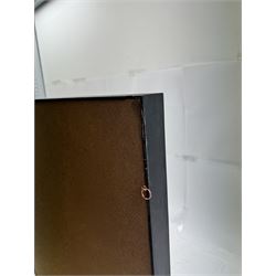 Entomology: Single glazed display of butterflies, circa 20th century, single glazed display containing seven various specimens, including green-banded swallowtail, and amauris crawshayi, pinned upon foam backing, enclosed within a glazed ebonised display case the backdrop painted with blossoming branches , H49cm, L39cm