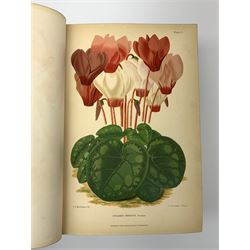 Thompson Robert: The Gardener's Assistant: Practical and Scientific. 1878. Chromolithograph and other illustrations. Full leather binding with blind stamped boards and panelled spine