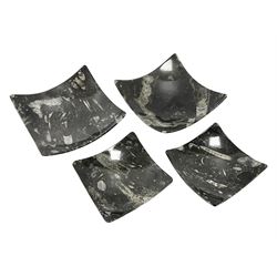 Set of four square dishes in two sizes, each with orthoceras and goniatite inclusions, age: Devonian period, location: Morocco, large dish D16cm