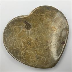 Two graduating fossilised coral dish in the form of hearts, largest D16cm