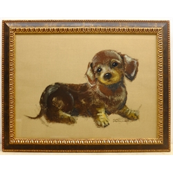 Pollyanna Pickering (British 1942-2018): Study of a Puppy, mixed media signed 44cm x 60cm