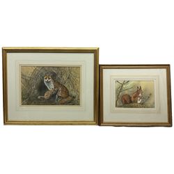 Jennifer A Bell (British 20th century): Fox with Cub and Squirrel, two watercolours signed max 30cm x 45cm (2)