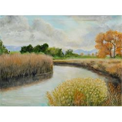 Gary Haigh (Northern British Contemporary): 'Reeds and River', oil on canvas signed 30cm x 40cm (unframed)