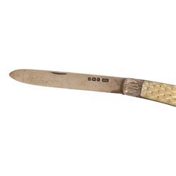 Victorian silver and mother of pearl folding fruit knife, hallmarked