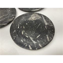 Five circular plates, each with Orthoceras and Goniatite inclusions, age: Devonian period, location: Morocco, D20cm