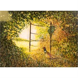 Richard Bolton (British 1950-): Chickens and Cows, watercolour signed and dated '03, 30cm x 24cm; Ray Canham (British 20th Century): 'The Forgotten Gate', gouache signed and dated '85, titled on the mount 27cm x 37cm (2)