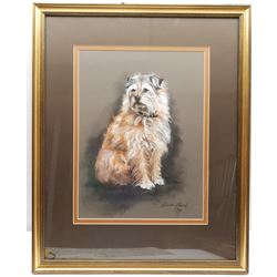 Susan Maud (British 20th century): 'Pip' - Portrait of a Terrier, pastel signed titled and dated '99, 43cm x 32cm, and a 19th century watercolour of a donkey 20cm x 15cm
