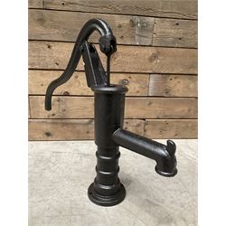 Small cast iron water pump